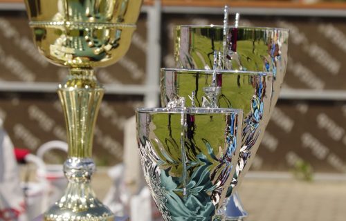 prize, competition, trophy, award, trophy, trophy, trophy, trophy, trophy, award